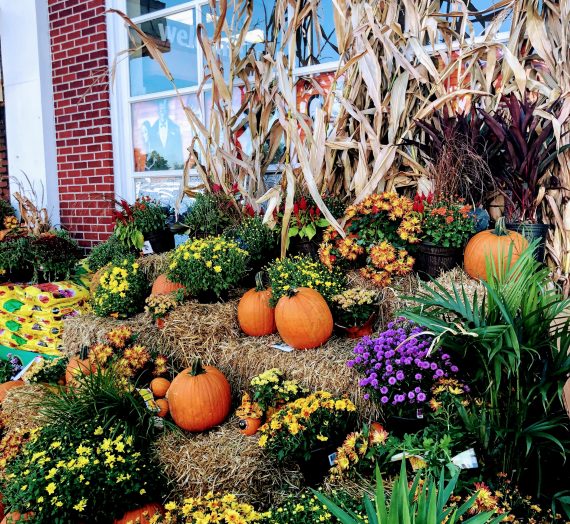 Fall in New York