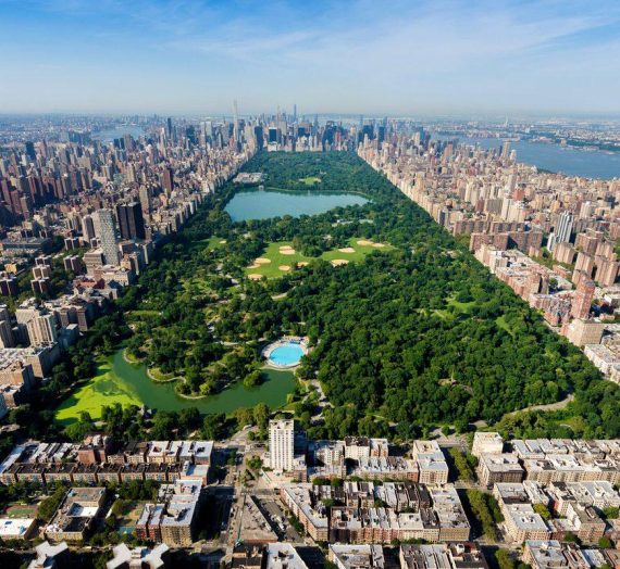Central Park for Kids: Fun Things to Do for the Whole Family